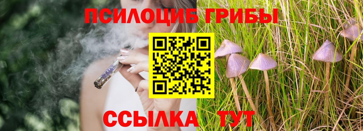 Псилоцибиновые грибы Psilocybine cubensis  Вход с VPN  Калуга 