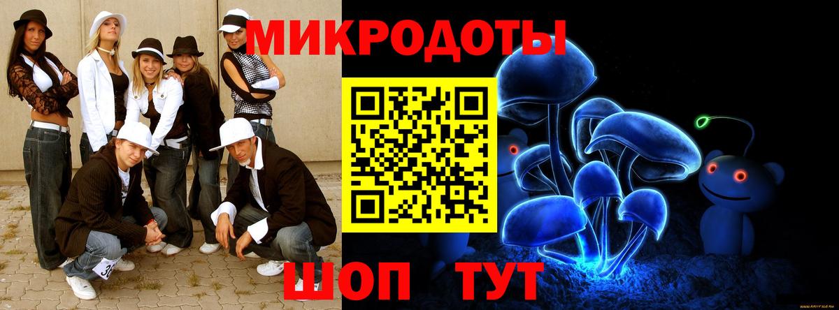 Псилоцибиновые грибы Psilocybe Калуга