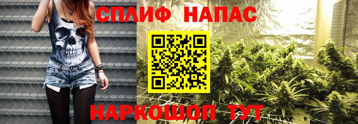 Бошки марихуана план  Конопля план  Конопля конопля  Каннабис Amnesia  Вход с VPN  Калуга 